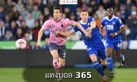 แทงบอล 365