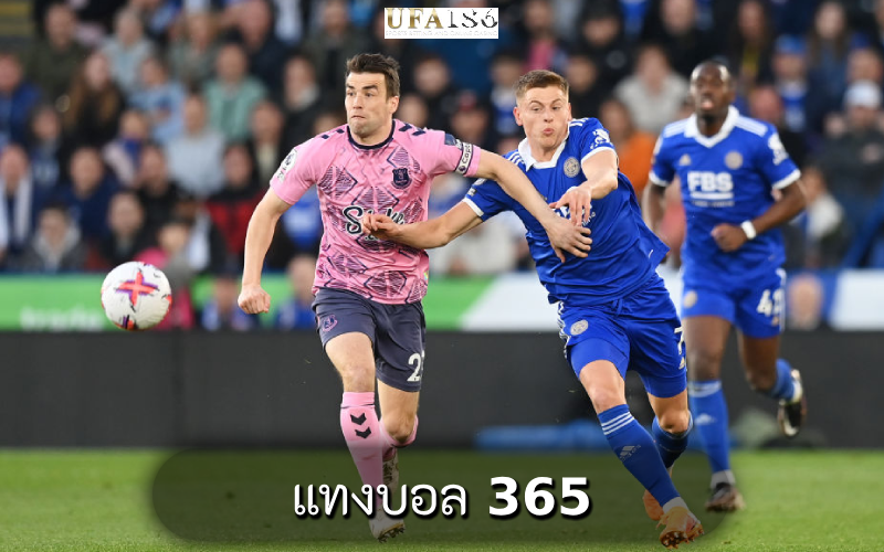 แทงบอล 365